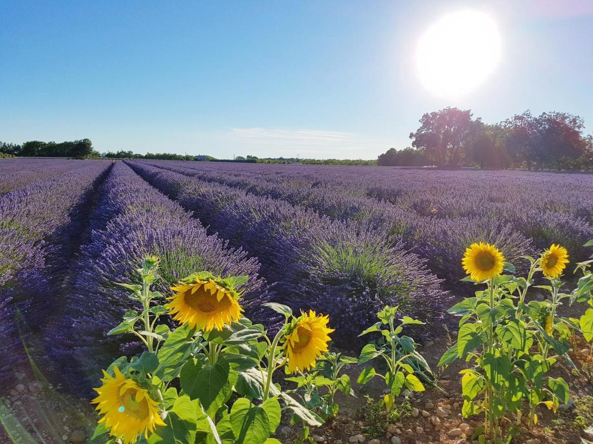 Villa Lavanda Trans-en-Provence Esterno foto